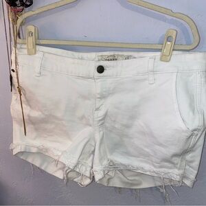 Torrid 16 Shorts
